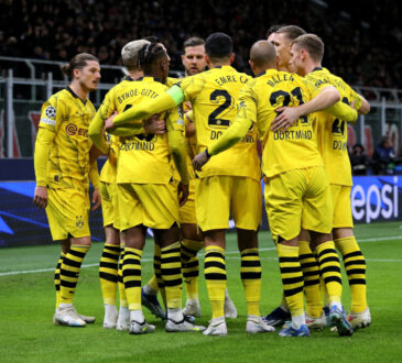BVB Team