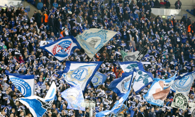 Schalke 04 Fans