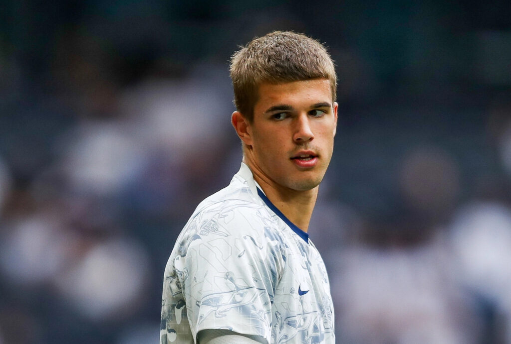 Luka Vuskovic - Hamburg