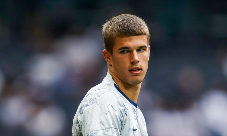 Luka Vuskovic - Hamburg